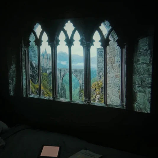 ProjectoGo™ X3Plus